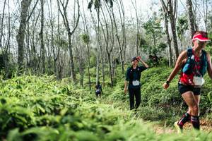 BIB: 
                            <button type="button" onclick="openModal(26345958)" class="btn btn-primary btn-sm float-right btn-popup" data-toggle="modal" data-target=".modal-high-quality">
                        <i class="fas fa-shopping-cart"></i> Add to Cart
                    </button>
                                            <button type="button" onclick="isThisMe(26345958, true)" class="btn btn-success btn-sm float-right btn-popup btn-isme hidden" data-toggle="tooltip" data-placement="bottom" title="นี่คือรูปของคุณใช่ไหม คลิกที่นี่เพื่อเอาเข้าอัลบั้ม">
                        <i class="fas fa-plus"></i> Add to album
                    </button>
                    <button type="button" onclick="isThisMe(26345958, false)" class="btn btn-warning btn-sm float-right btn-popup btn-isnotme hidden">
                        <i class="fas fa-ban"></i> Remove from album
                    </button>